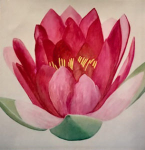 Original painting of a pinky-red lotus flower.