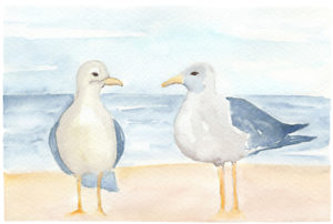 Catherine Atkinson - Seagulls