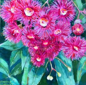 Dianne Bradley - Flowering Gum